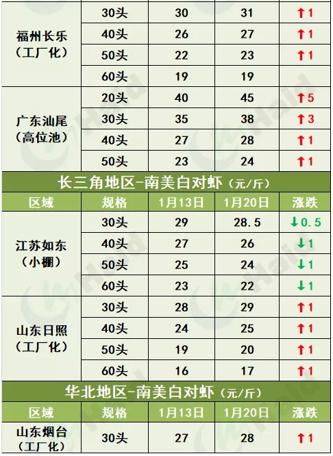 虾价行情｜最高跌4元/斤，疫情地区的白虾价格春节前会反弹吗？