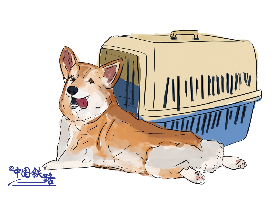 早安·青城 |回家过年，这些东西可不能坐火车