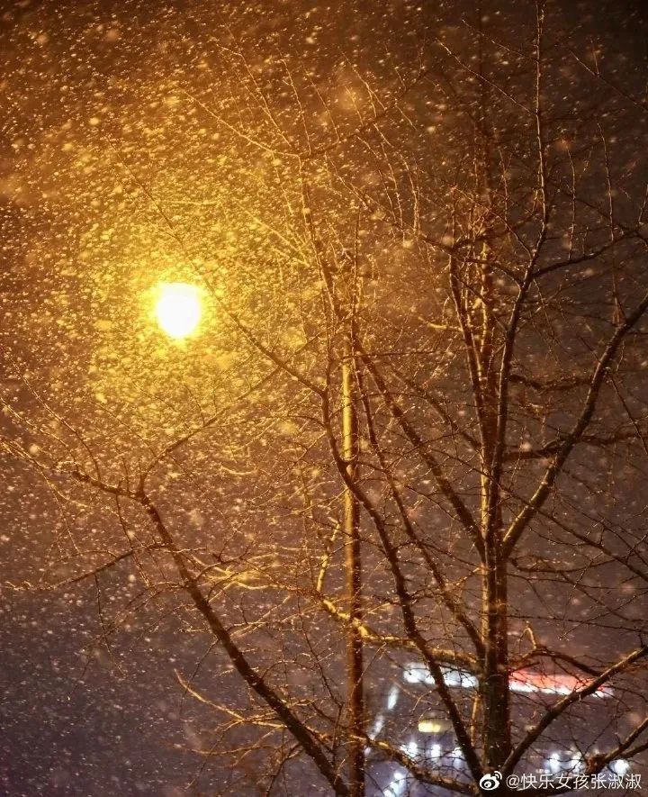 下雪的唯美图片(66张河北雪景图) - 赤虎壹号