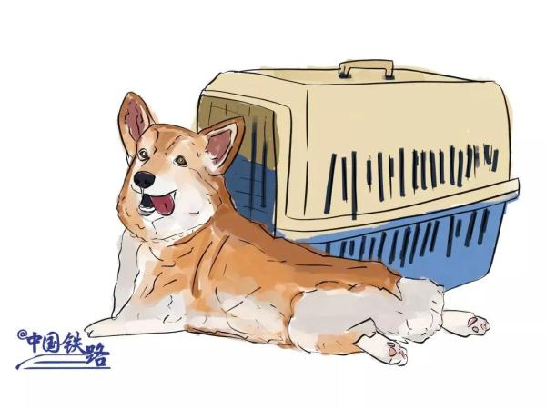 火车订票网12306官网,火车订票网12306官网下载免费