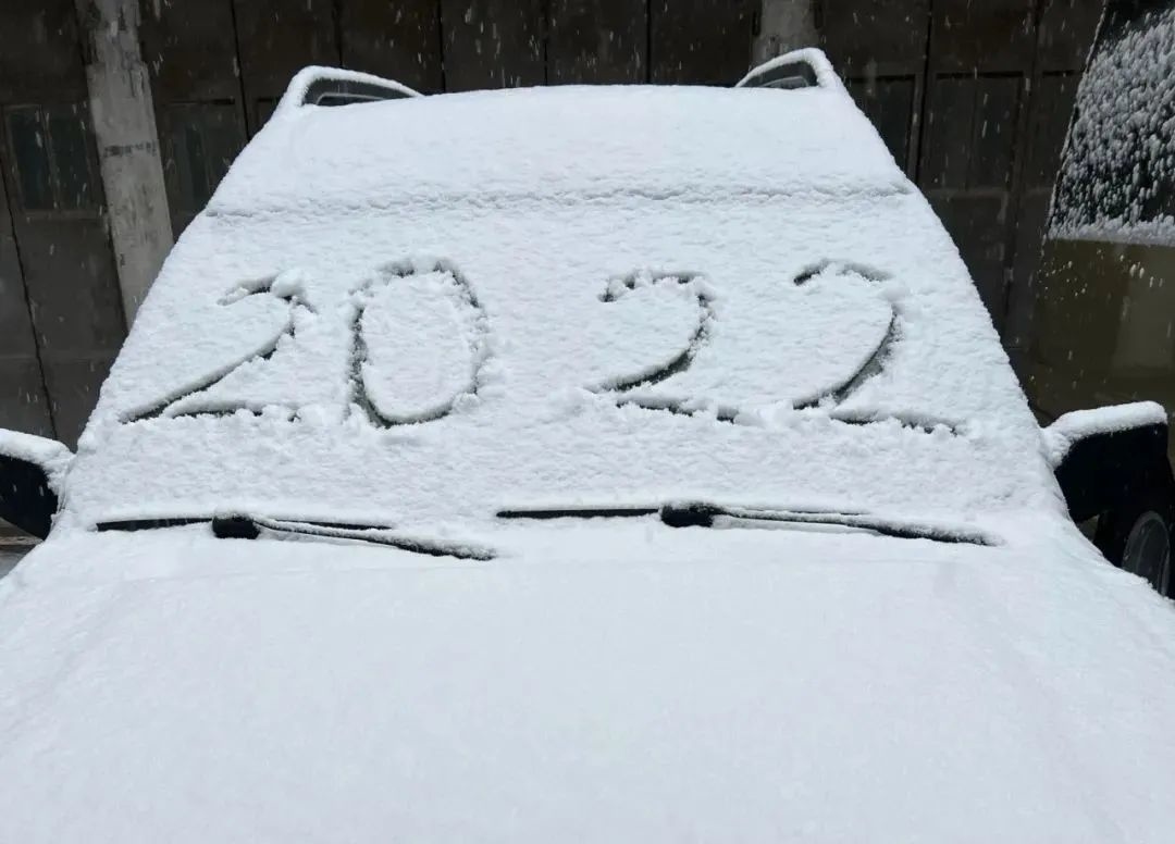山東多地大雪紛飛！剛剛，日照發布藍色預警