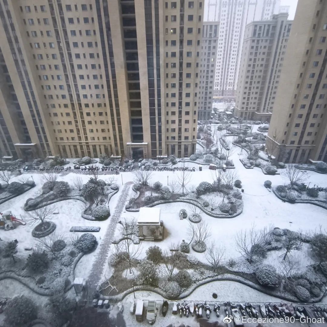 山東多地大雪紛飛！剛剛，日照發布藍色預警