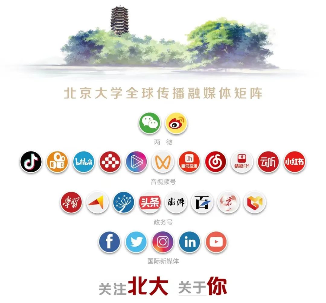 从世界冠军到北大教授！