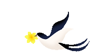 世界法律日,世界法律日是几月几日