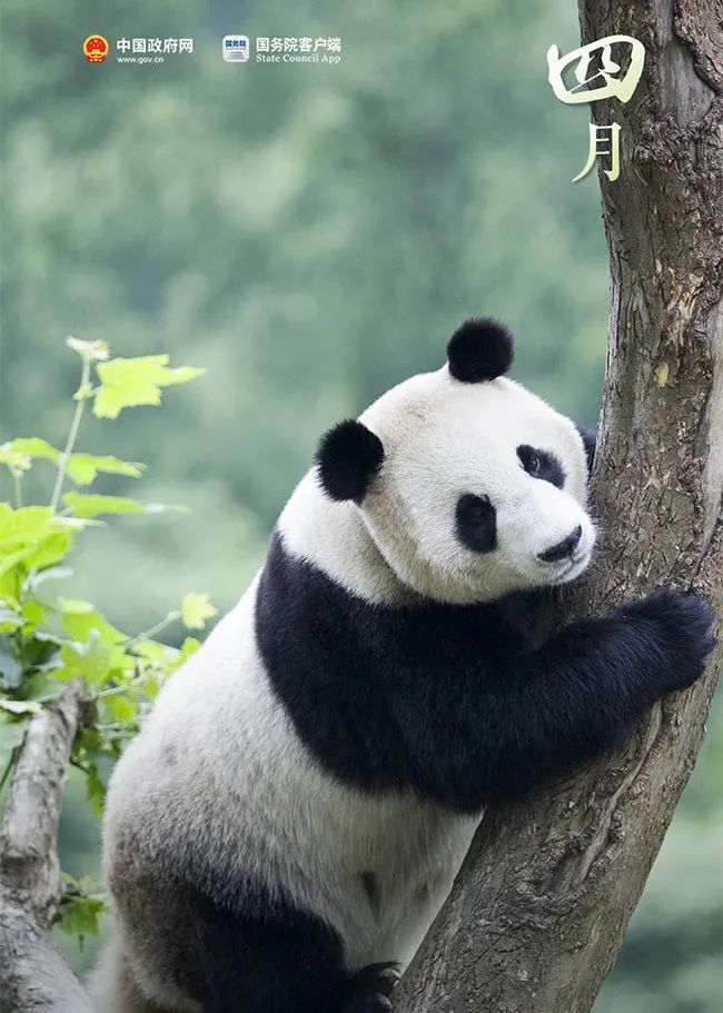 礼物正在派送图（你的礼物正在派送）
