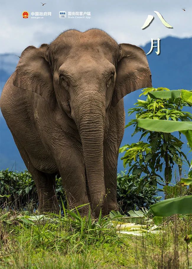 礼物正在派送图（你的礼物正在派送）