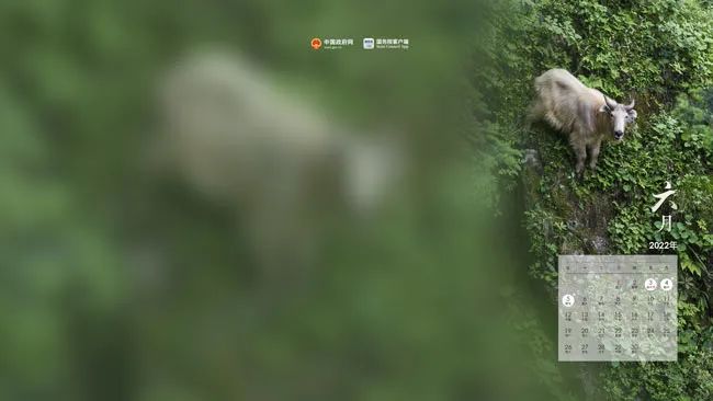 礼物正在派送图（你的礼物正在派送）