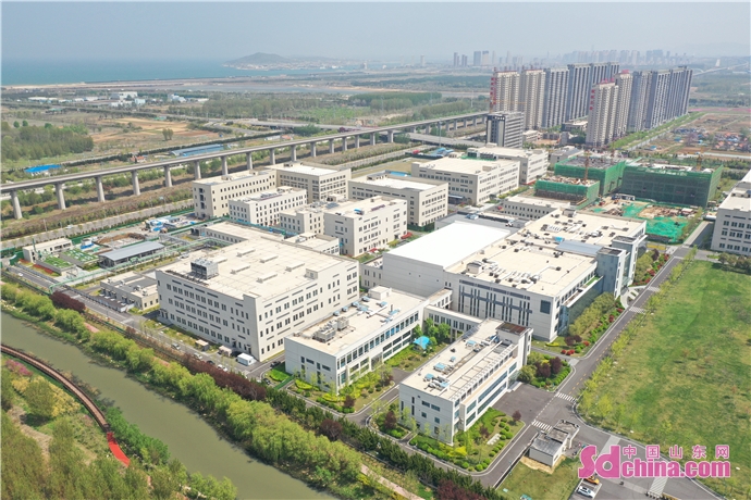 奏响项目建设最强音⑤｜山东烟台：生物医药北方药谷雏形初现