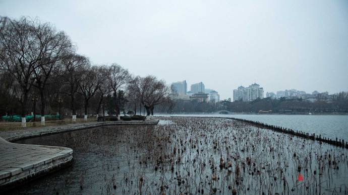 冬日的温柔！大明湖清晨天水一色，风光旖旎如水墨画