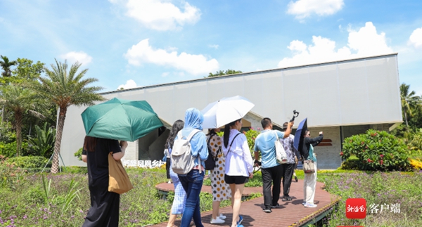 南洋风情 生态艺术 古色古香春节期间琼海邀您逛6个美丽乡村