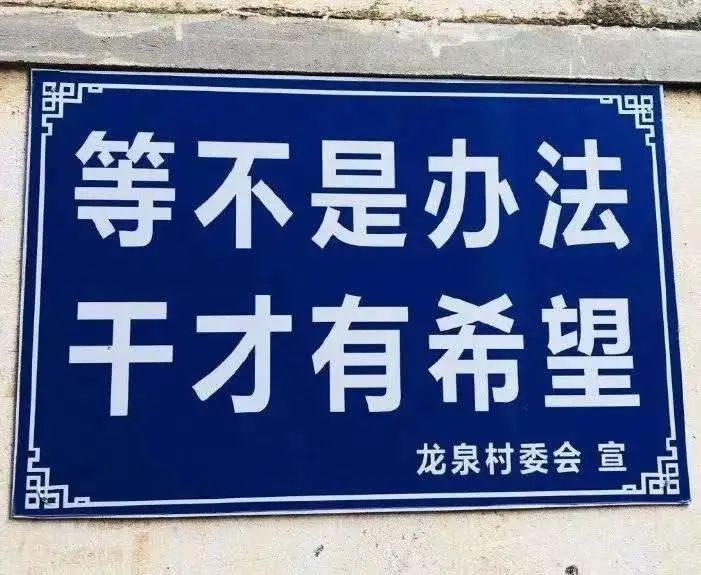 什么新年礼物，打动了文景编辑的心？