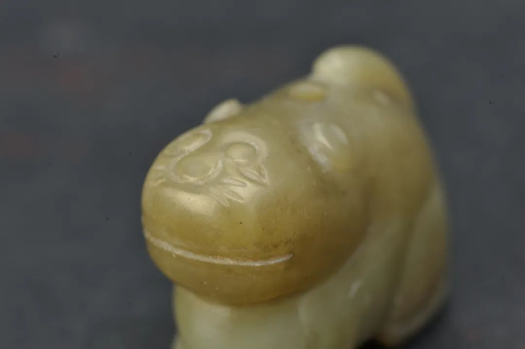 中国这些博物馆可真是“虎”呀