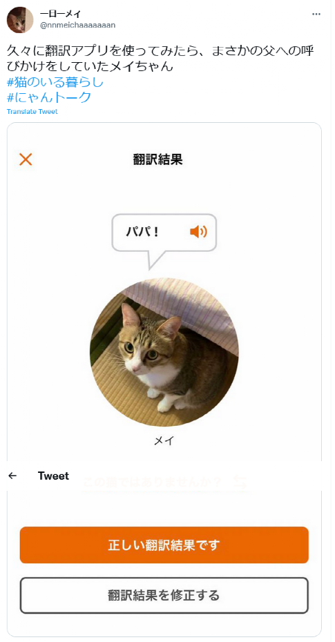 猫语翻译器在日本火了，网友狂喜：“没想到主子在叫我爸。”