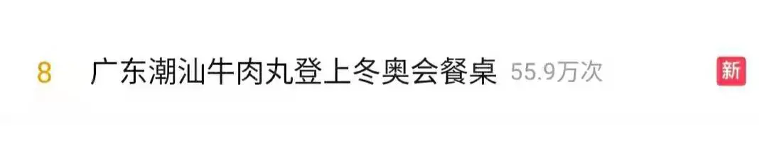 东京奥运会哪些选手是广东的(牛！湛江小伙出战冬奥会！细数冬奥会中的“广东元素”)