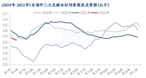 Mysteel解读：年关短需难解忧 年后猪市愁更愁