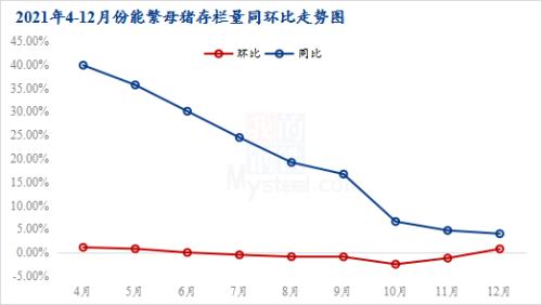 Mysteel解读：年关短需难解忧 年后猪市愁更愁