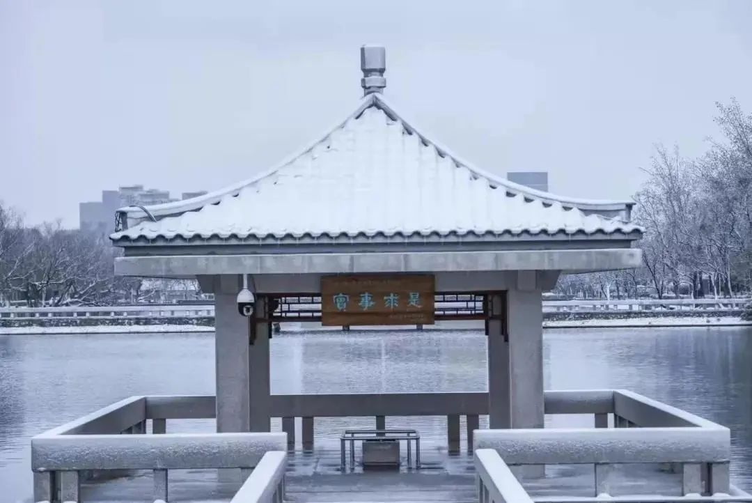 天津大学博士（天津大学诚邀优秀博士毕业生申报2022年度）