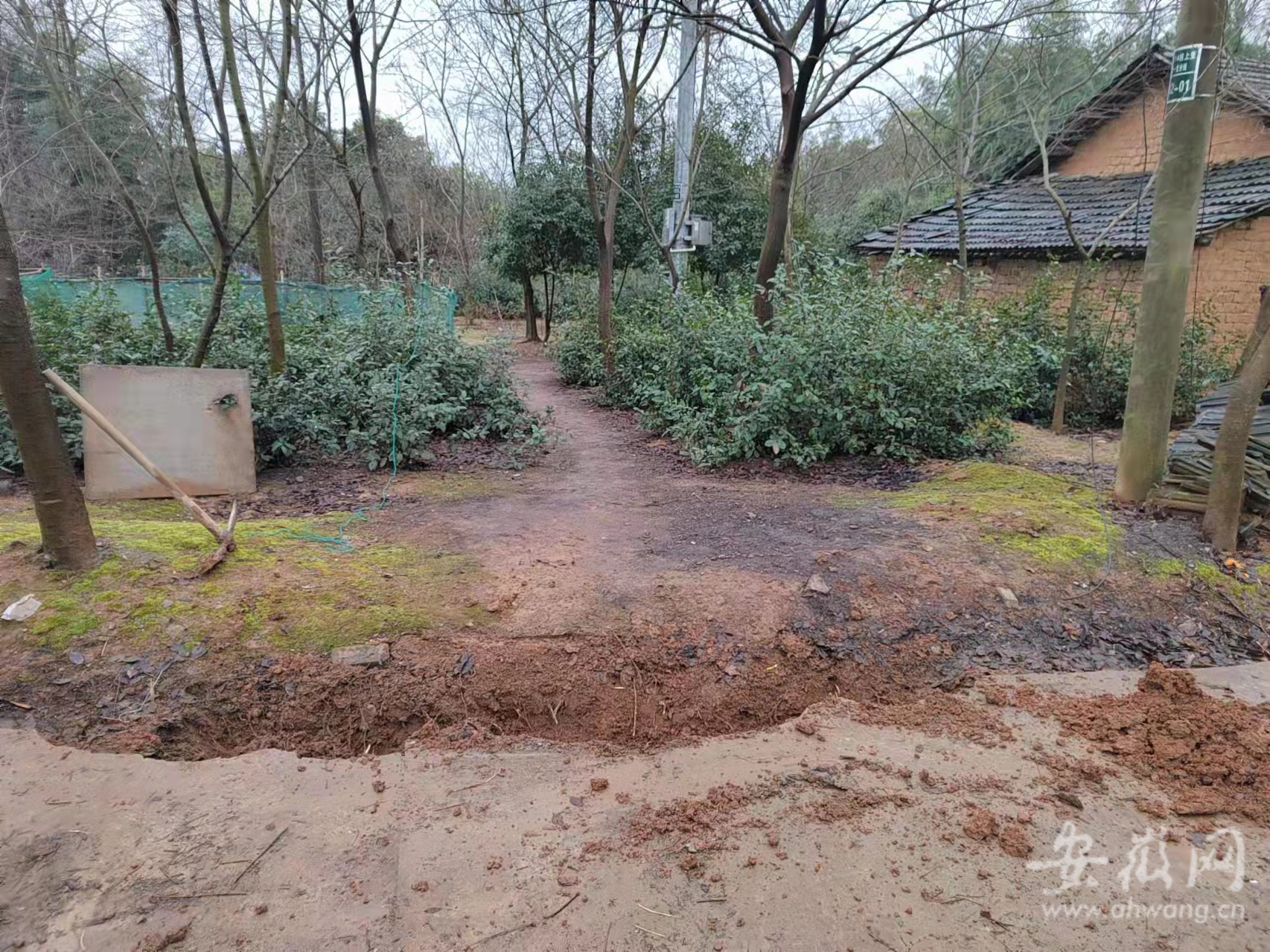 芜湖市湾沚区：为民修路 解决群众春节出行难