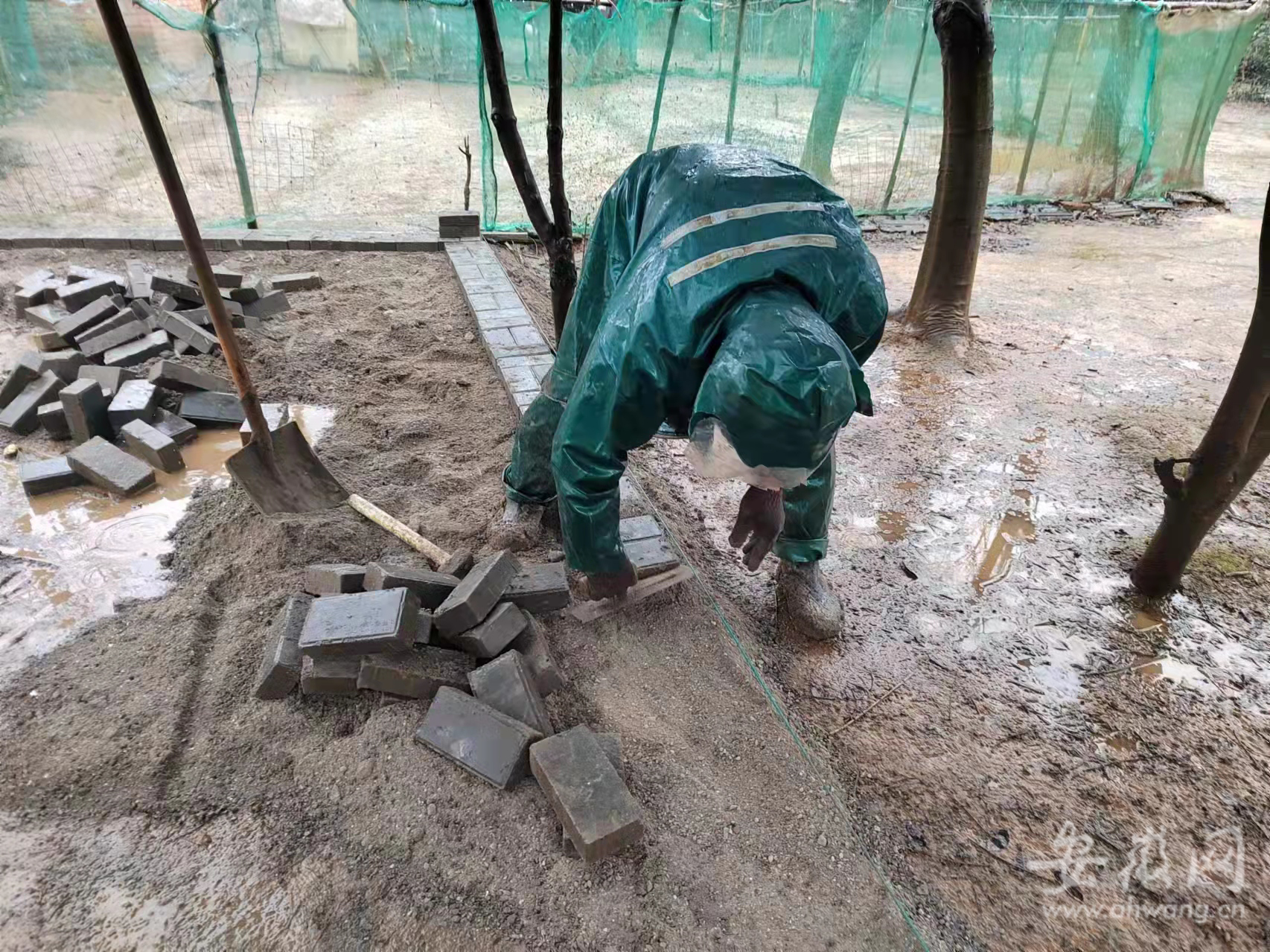 芜湖市湾沚区：为民修路 解决群众春节出行难