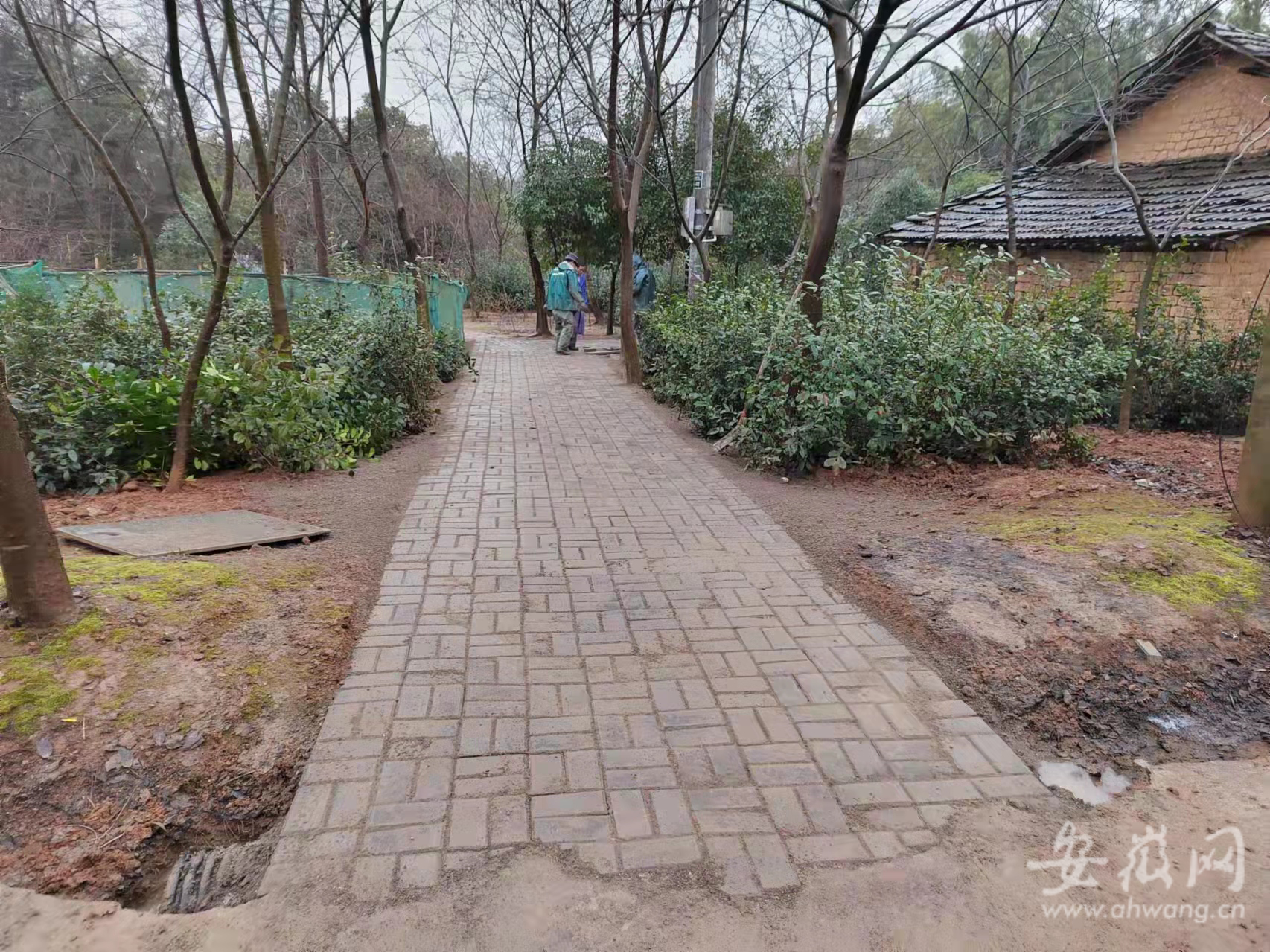 芜湖市湾沚区：为民修路 解决群众春节出行难