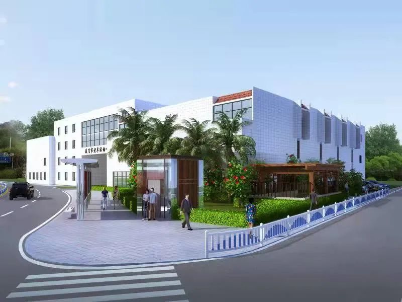 全面完工！春节开放！厦门又传好消息