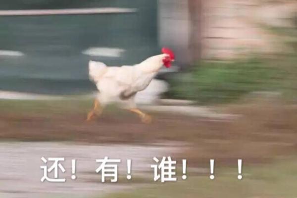 妈!咱家门口站了俩“恶人”