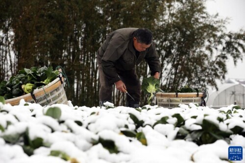 我国多地降温降雪