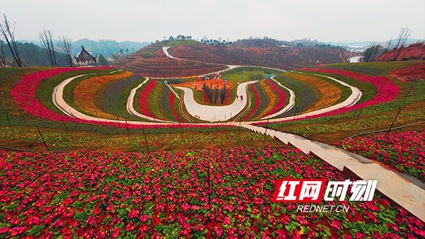 湖南衡东县一网红打卡地花奇里开园