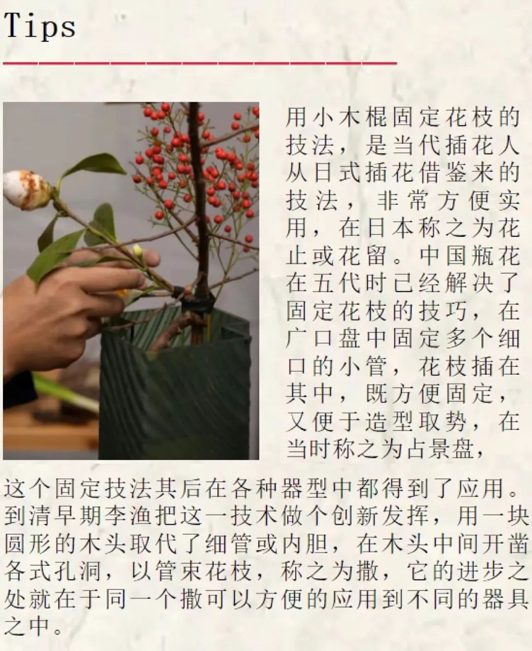 COSMOTUDE | 新年五件套，你进行到哪一步了？