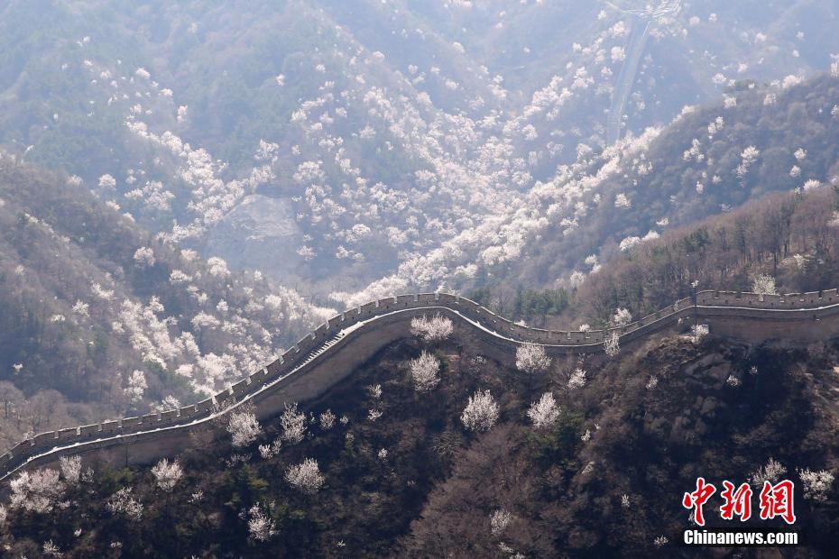 北京奥运会火炬途经哪些城市(途经长城、颐和园，火炬传递开启！这些亮点你get了吗？)