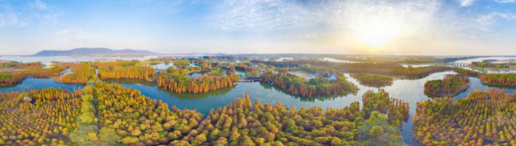 世界湿地日，快去打卡江苏7个国家城市湿地公园