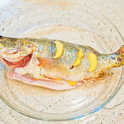怎樣清蒸桂魚,怎樣清蒸桂魚好吃又簡單竅門