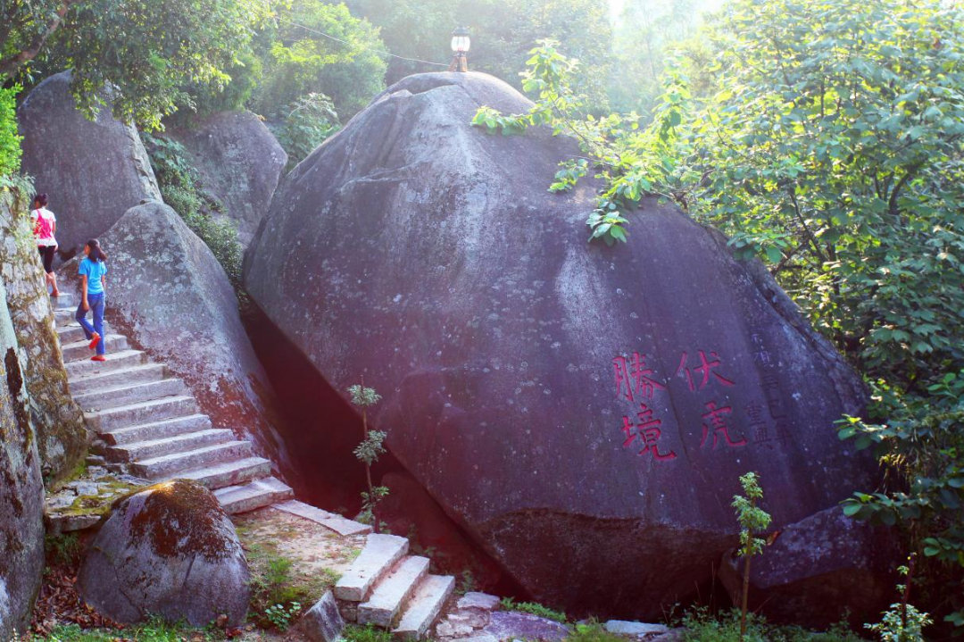 虎年寻虎：福建名胜古迹中的“虎”