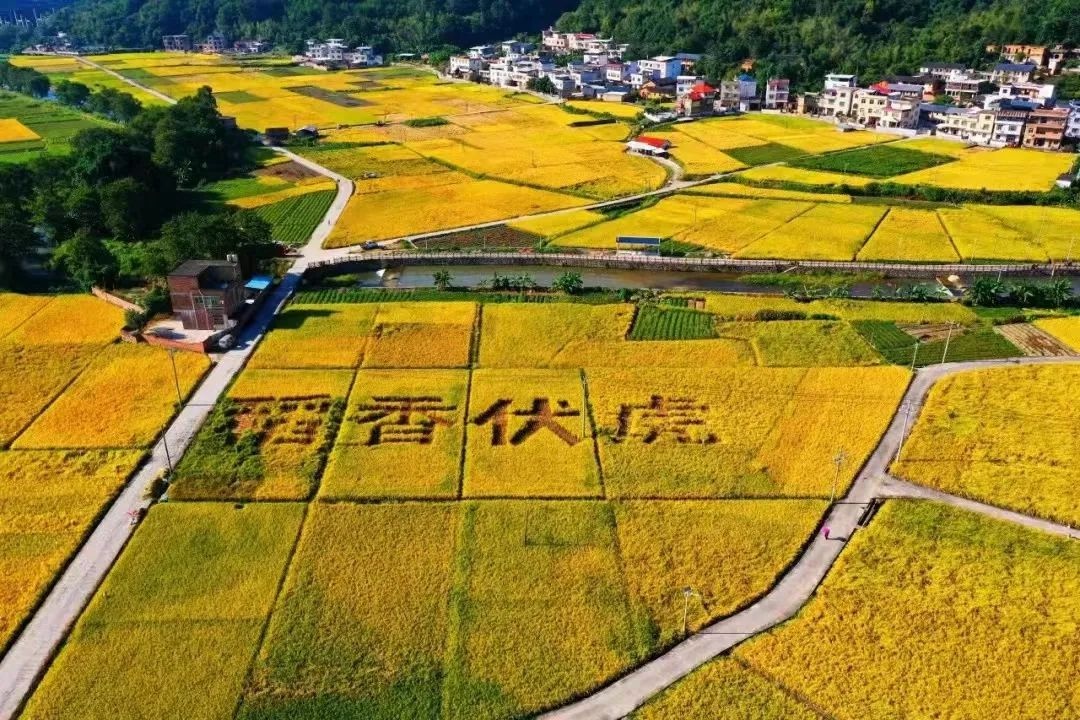 虎年寻虎：福建名胜古迹中的“虎”