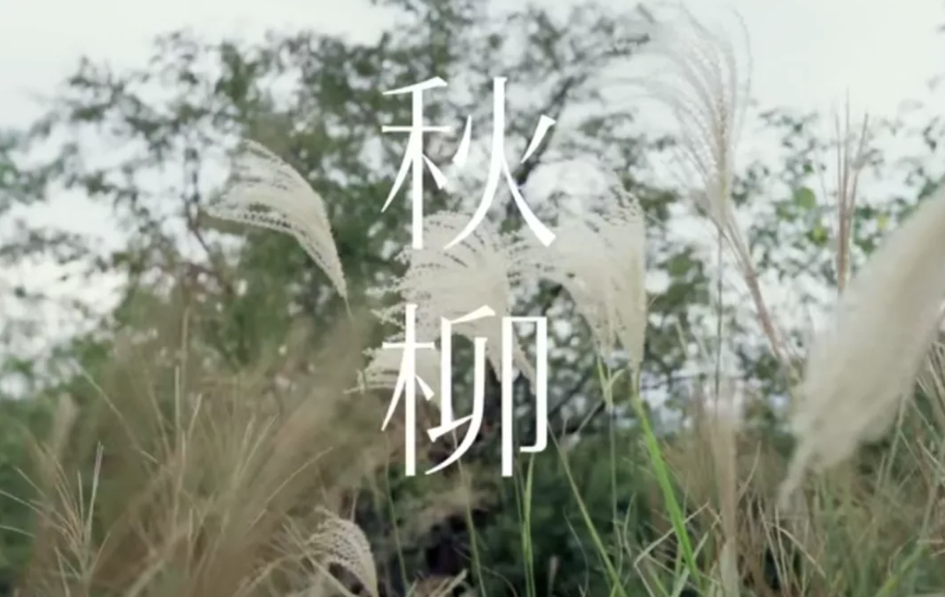 我们长大了,儿时的童谣却仍唱着“会干活的女孩嫁得好”