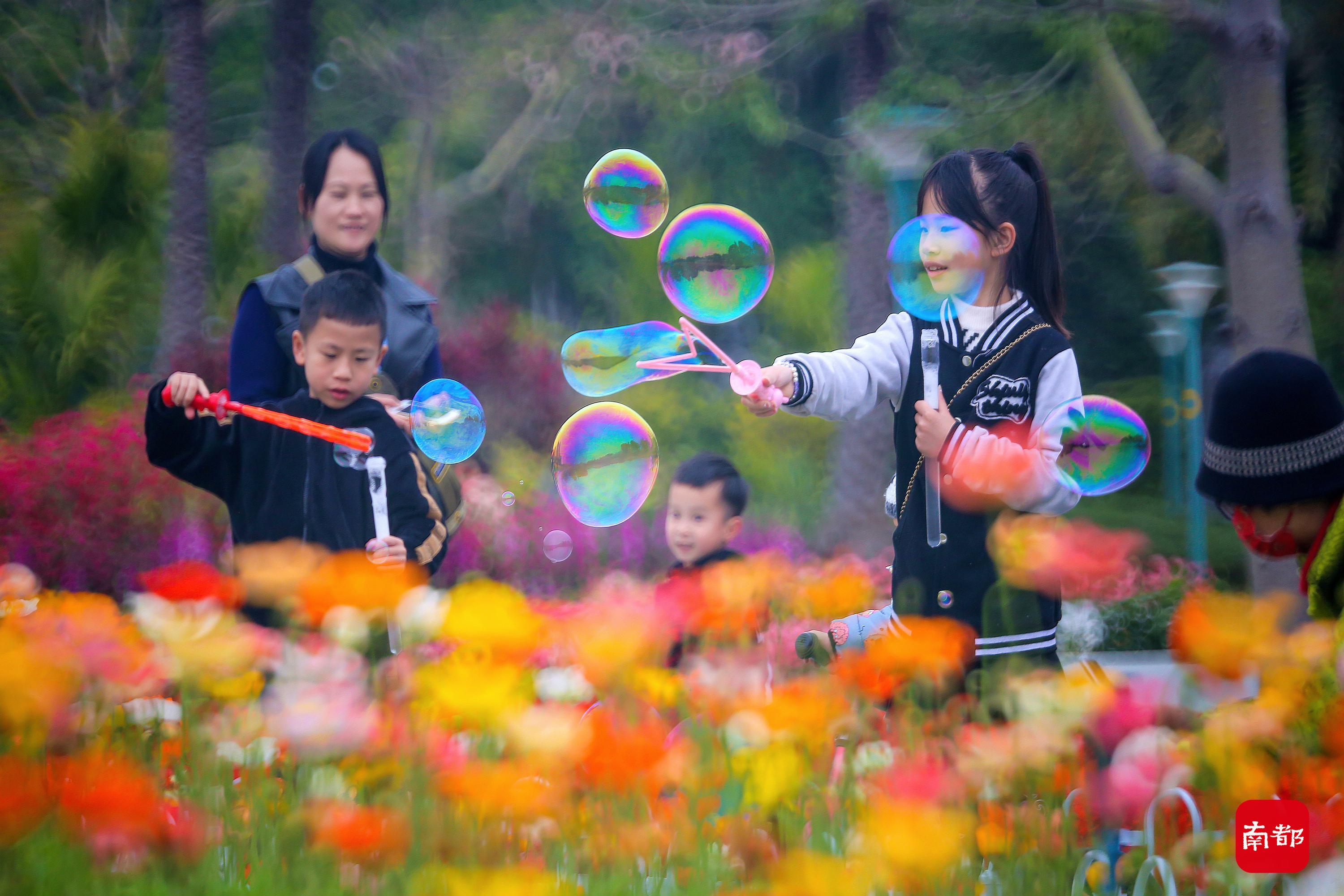 广州过年哪里好玩(春节已到尾期，广州这片壮美的“桃花源”你去了吗？)