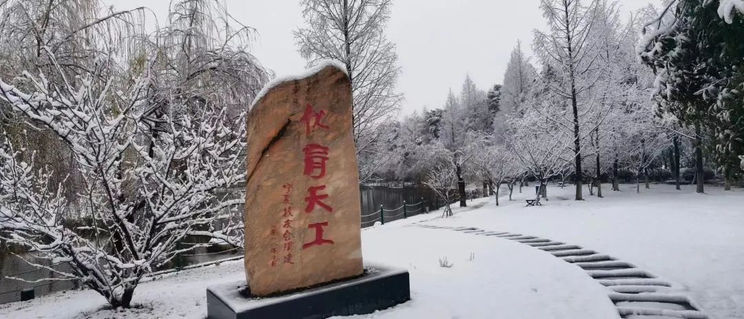 不骗你,工大这次被暴雪刷白了↑↑↑