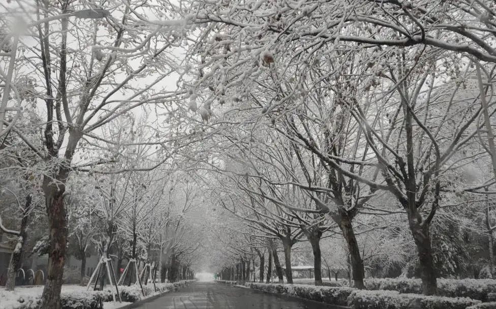不骗你,工大这次被暴雪刷白了↑↑↑