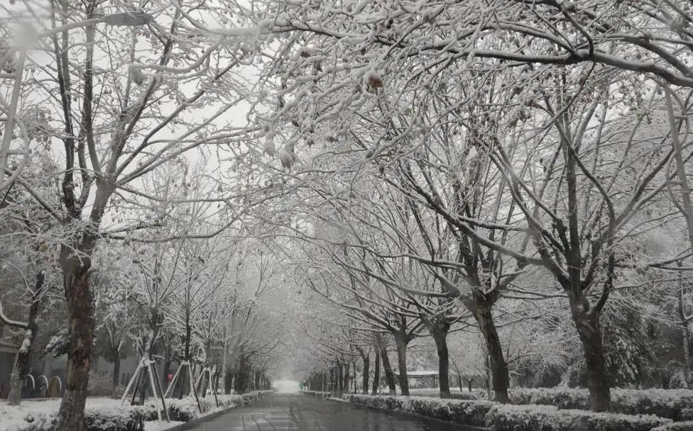 不骗你，工大这次被暴雪刷白了↑↑↑