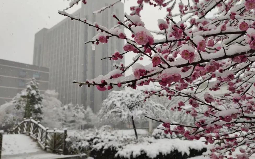 不骗你,工大这次被暴雪刷白了↑↑↑