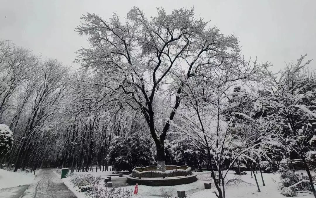 不骗你,工大这次被暴雪刷白了↑↑↑