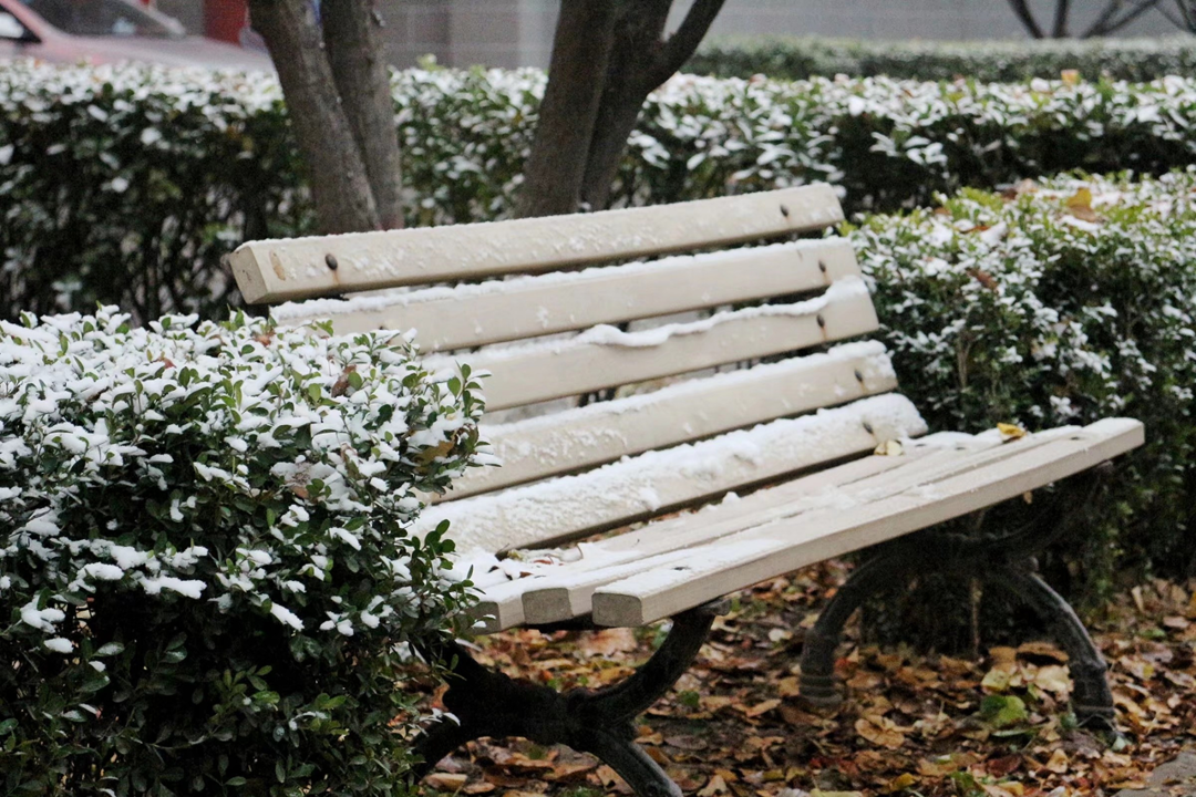 不骗你，工大这次被暴雪刷白了↑↑↑