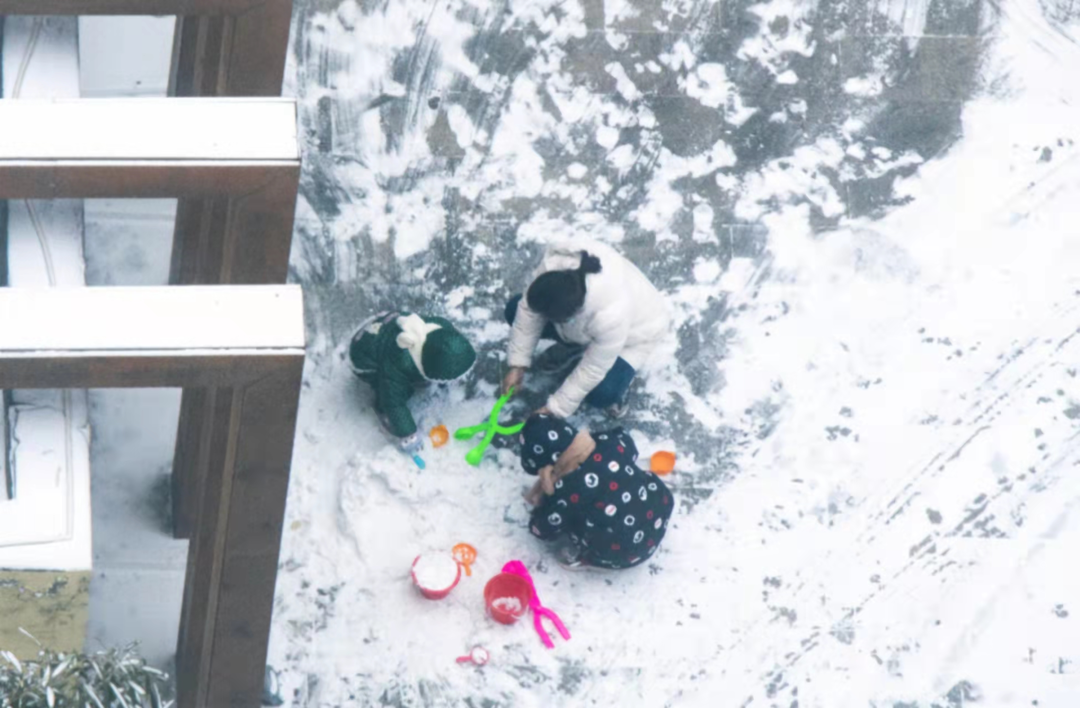不骗你,工大这次被暴雪刷白了↑↑↑