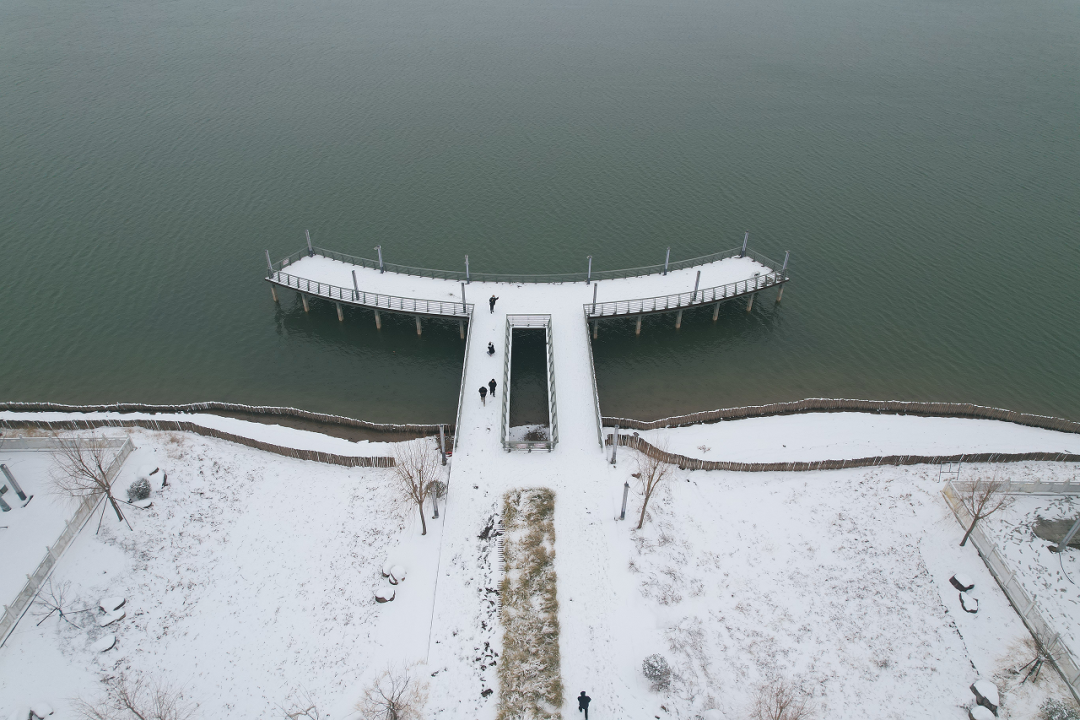 不骗你，工大这次被暴雪刷白了↑↑↑