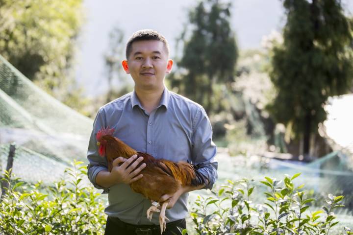 浙江农林大学做鸡的「浙江农林大学食品与健康学院」