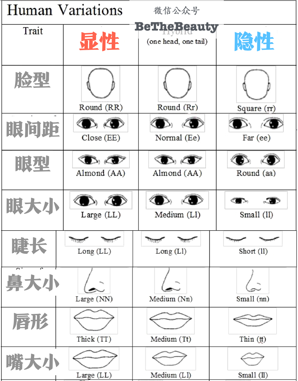 上帝旨在依靠自己。你怎么看起来更好？我想做一个美丽的下一代，我找不到一个英俊的兄弟