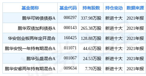 「亿元基金」什么是可转债基金（基金鹏华可转债债券A重仓该股）