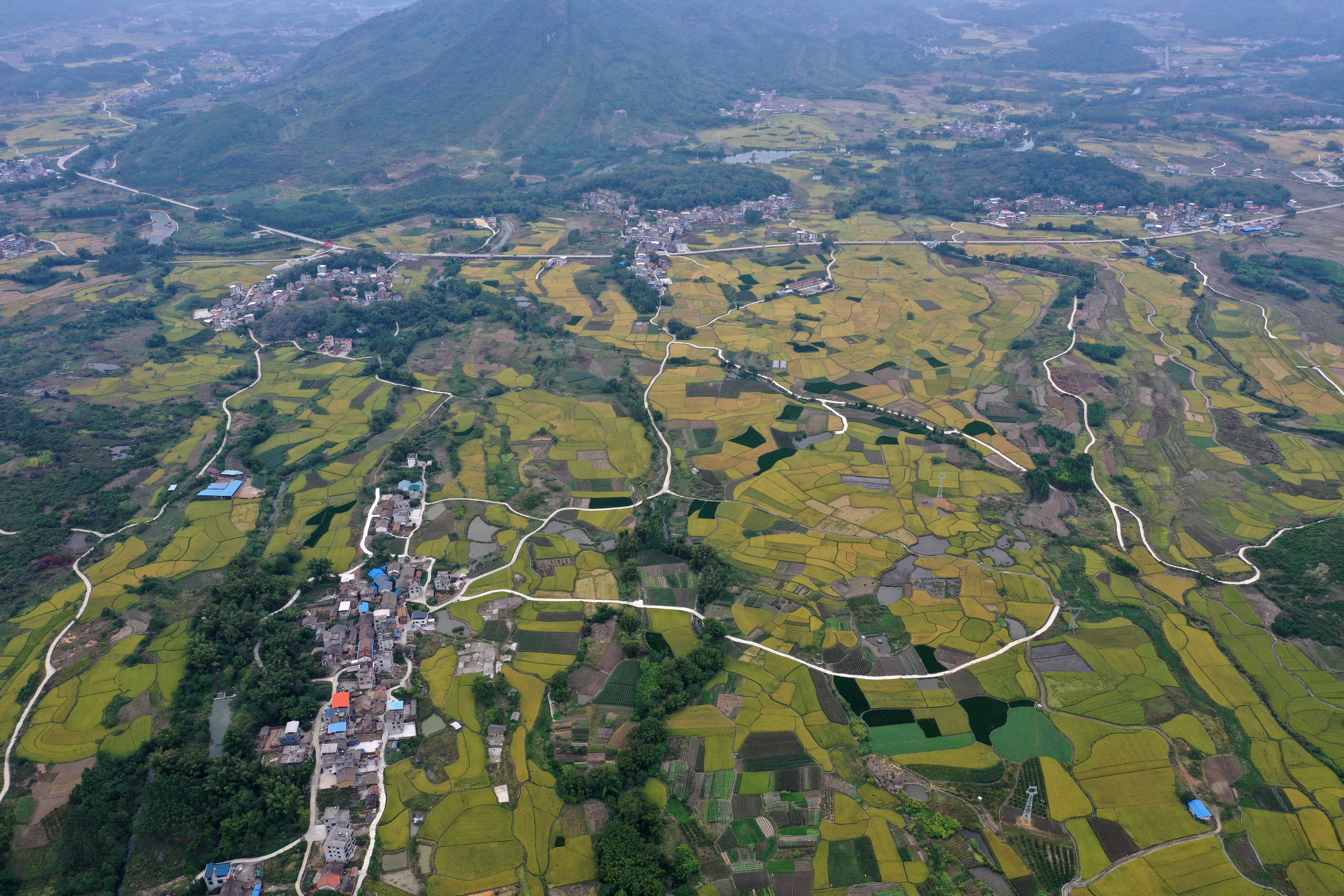 春节返乡观察：消费升级带来的乡村新变化