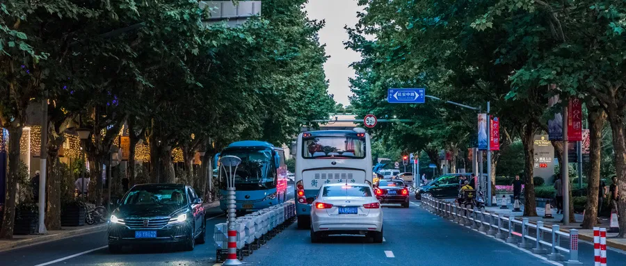 别再让城市里的树随意被“优化”