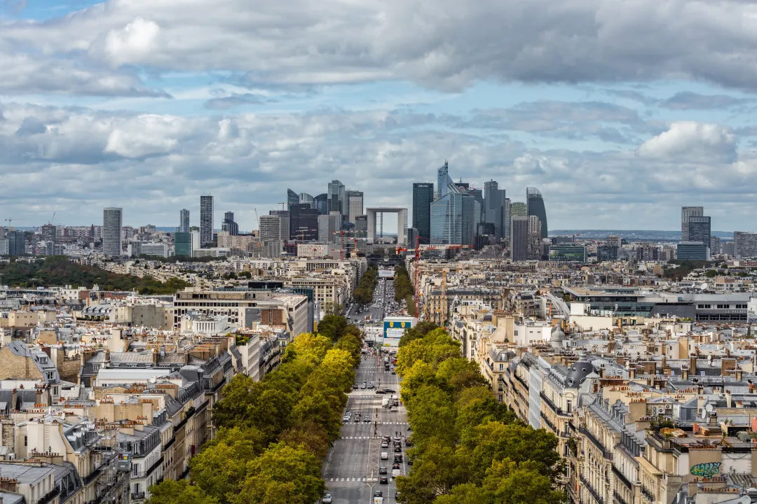 别再让城市里的树随意被“优化”